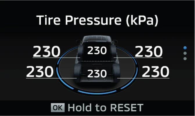 Tire Pressure Monitoring System (TPMS)